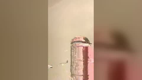 Snapshot of tommygun4969 chatting on 02.05.26 tommygun4969 online show from 02.05.26