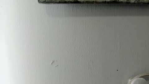 lady blue online show from 01.06.25