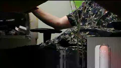 tontin69 online show from 03.31.26