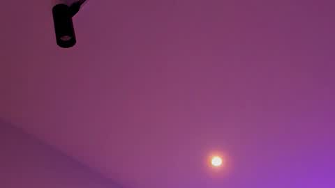 Snapshot of tony_petrov chatting on 01.08.26 tony_petrov online show from 01.08.26