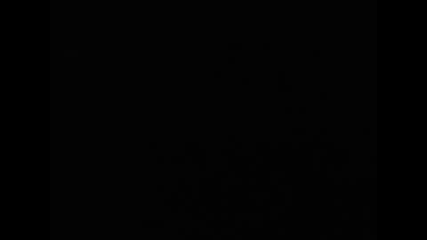 tony online show from 04.07.26