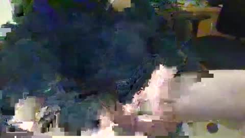 Snapshot of topcat127 chatting on 03.05.25 Topcat127 online show from 03.05.25