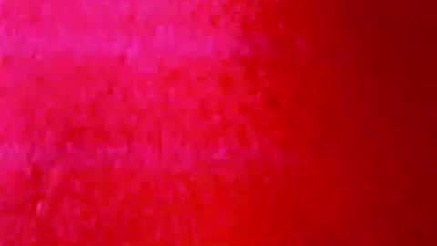 tornne online show from 03.31.26