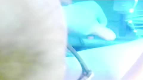 tornne online show from 04.02.26