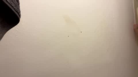 toronto5656 online show from 01.31.25