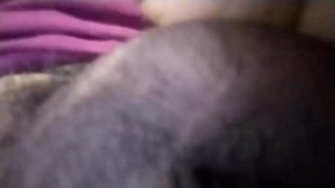 torresabel762 online show from 04.08.26