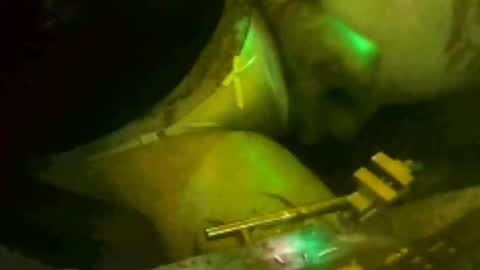 tosexyforjustus online show from 03.15.26