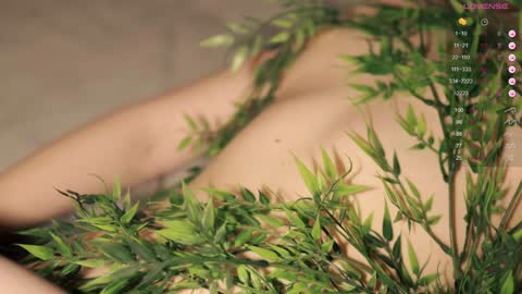 Toshi online show from 12.02.24