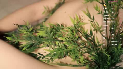 Toshi online show from 03.12.26