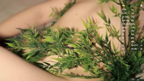 Toshi online show from 03.30.26