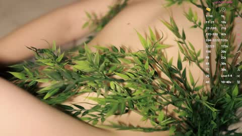 Toshi online show from 04.05.26