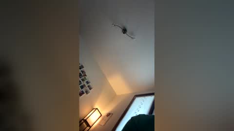 Snapshot of totalslut_82 chatting on 12.15.25 totalslut_82 online show from 12.15.25