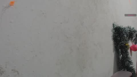 toxca69 online show from 01.07.26