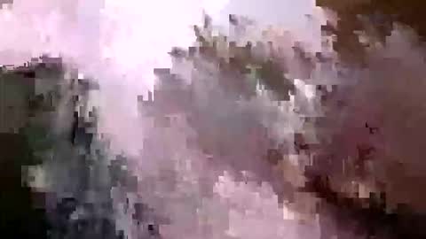 Snapshot of tr0069 chatting on 04.05.26 tr0069 online show from 04.05.26