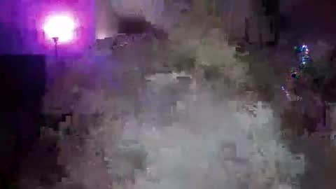 transgirl005 online show from 11.10.25