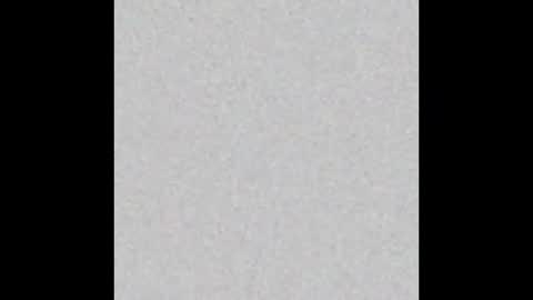 travt91 online show from 11.03.25