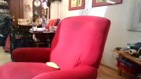 Snapshot of trebgeis1 chatting on 01.06.26 trebgeis1 online show from 01.06.26