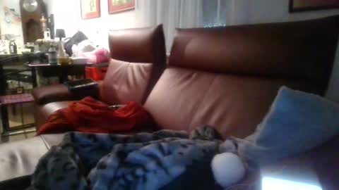 trebgeis1 online show from 04.19.26