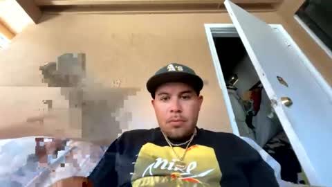 trees559 online show from 07.20.26
