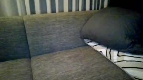 Snapshot of triciawu22 chatting on 12.08.24 triciawu22 online show from 12.08.24