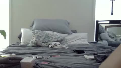 trickquestion online show from 02.19.26