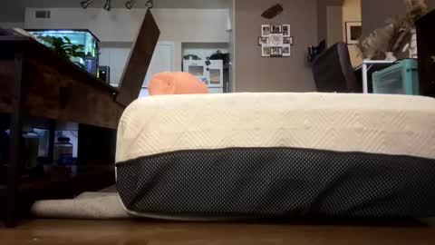 trickydick6 online show from 02.23.26