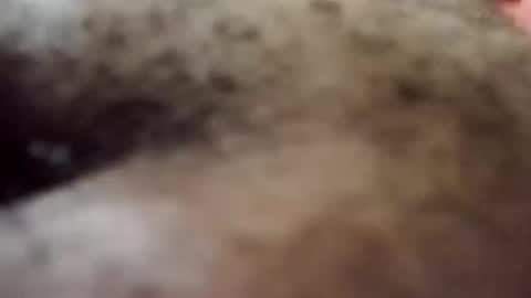 Snapshot of trinislim1868 chatting on 10.08.25 Antique-Shirt2516 online show from 10.08.25