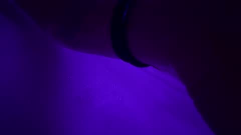 triplehero online show from 12.30.24