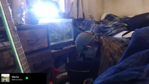 trooper0690 online show from 02.12.26