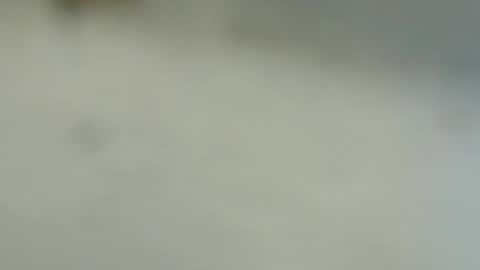 tutu1723153673 online show from 01.06.25