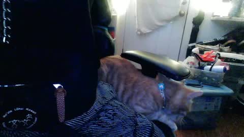 TwackedNTatted online show from 12.12.24