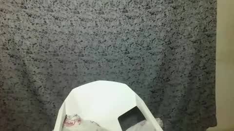 twerker_lyly online show from 10.07.25