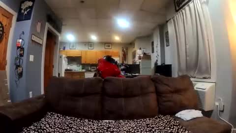 Snapshot of twicethetease2 chatting on 02.08.26 twicethetease2 online show from 02.08.26