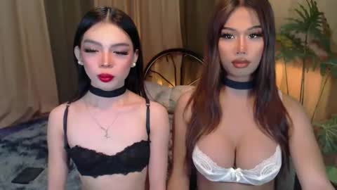 twinktransshanel online show from 10.06.25