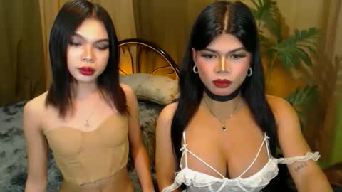 twinktransshanel online show from 10.20.25