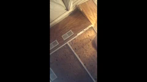 twistercouple3371 online show from 03.10.26