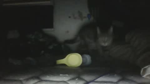 twonkydonk27 online show from 12.13.25