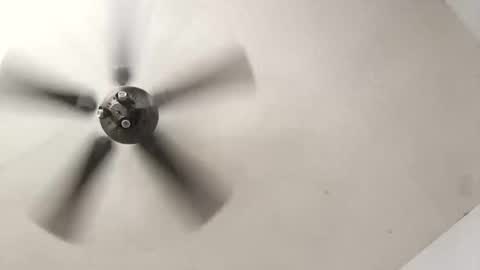 Aldo rasid online show from 10.19.25