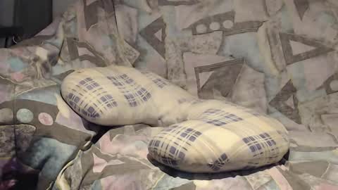 Helena and Tyson online show from 11.09.25