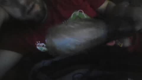 UncutGem online show from 12.17.25