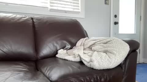 Snapshot of ungerisland chatting on 03.09.25 ungerisland online show from 03.09.25