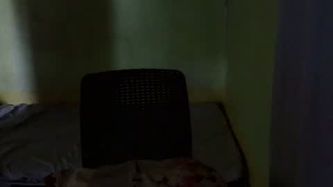 Snapshot of urfantacyjamaica chatting on 12.19.25 ayumi reacher online show from 12.19.25