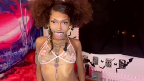 Dolly online show from 01.17.26