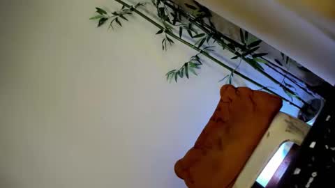 ursashafucker69 online show from 12.03.24