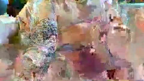 urukai79 online show from 02.17.26