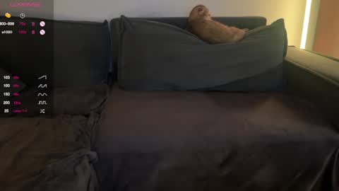 Snapshot of vaiee chatting on 02.20.25 Valery online show from 02.20.25