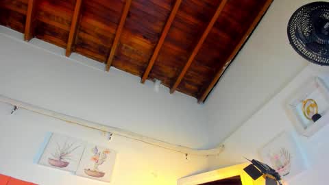 Snapshot of valen_rose0 chatting on 11.29.25 VALENTINA 3 online show from 11.29.25