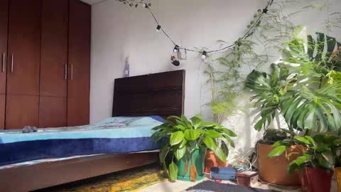   Valentin  independent Cam Boy     online show from 02.08.26