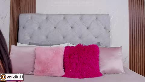 Snapshot of valkilu11 chatting on 02.17.26 valkilu11 online show from 02.17.26