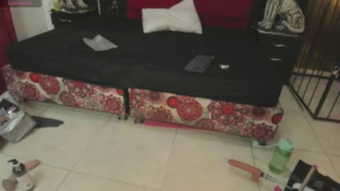 Vanessa Hard online show from 03.11.26